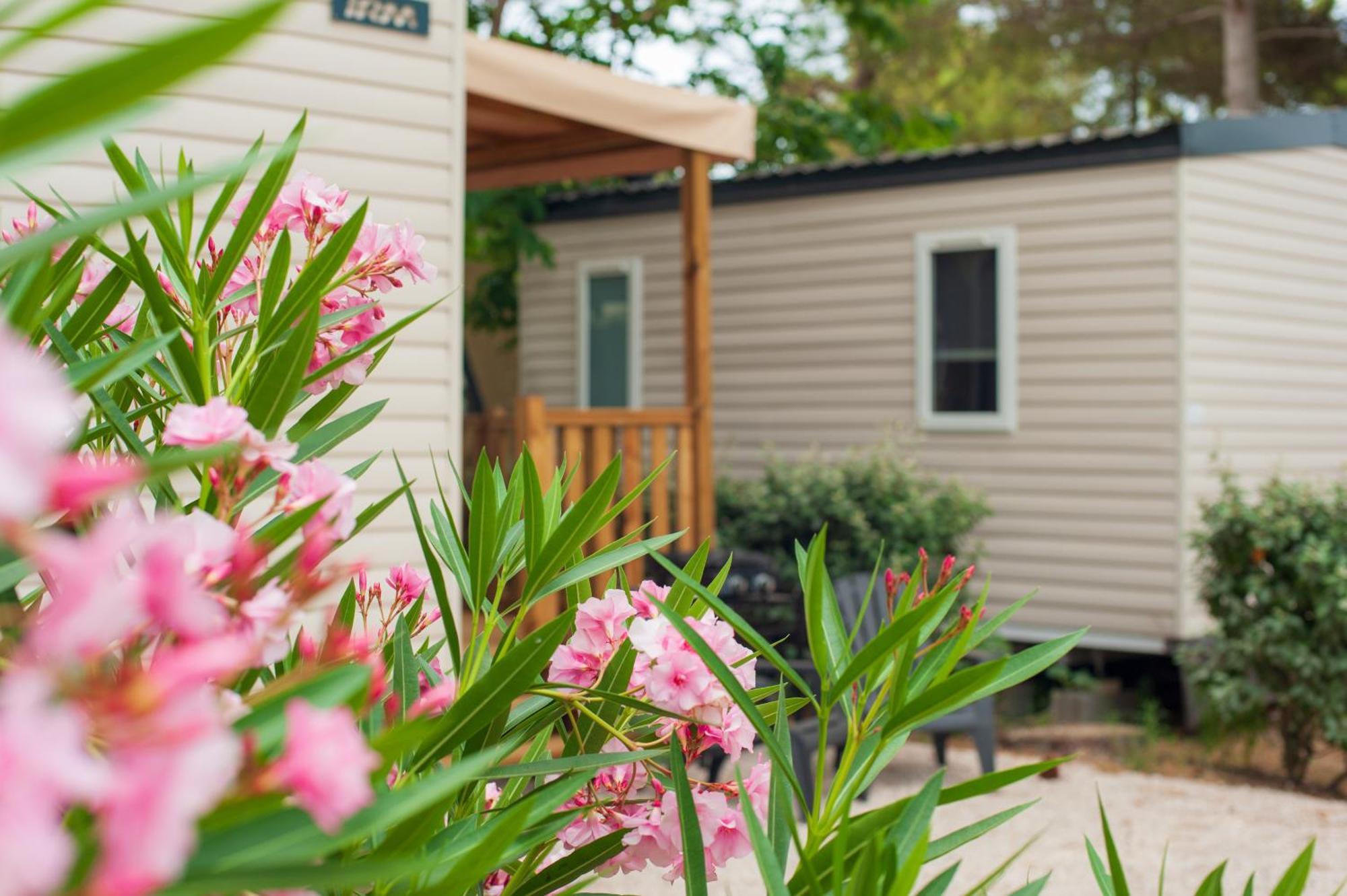 Camping Les Jardins D Agathe Le Grau-d'Agde Ngoại thất bức ảnh