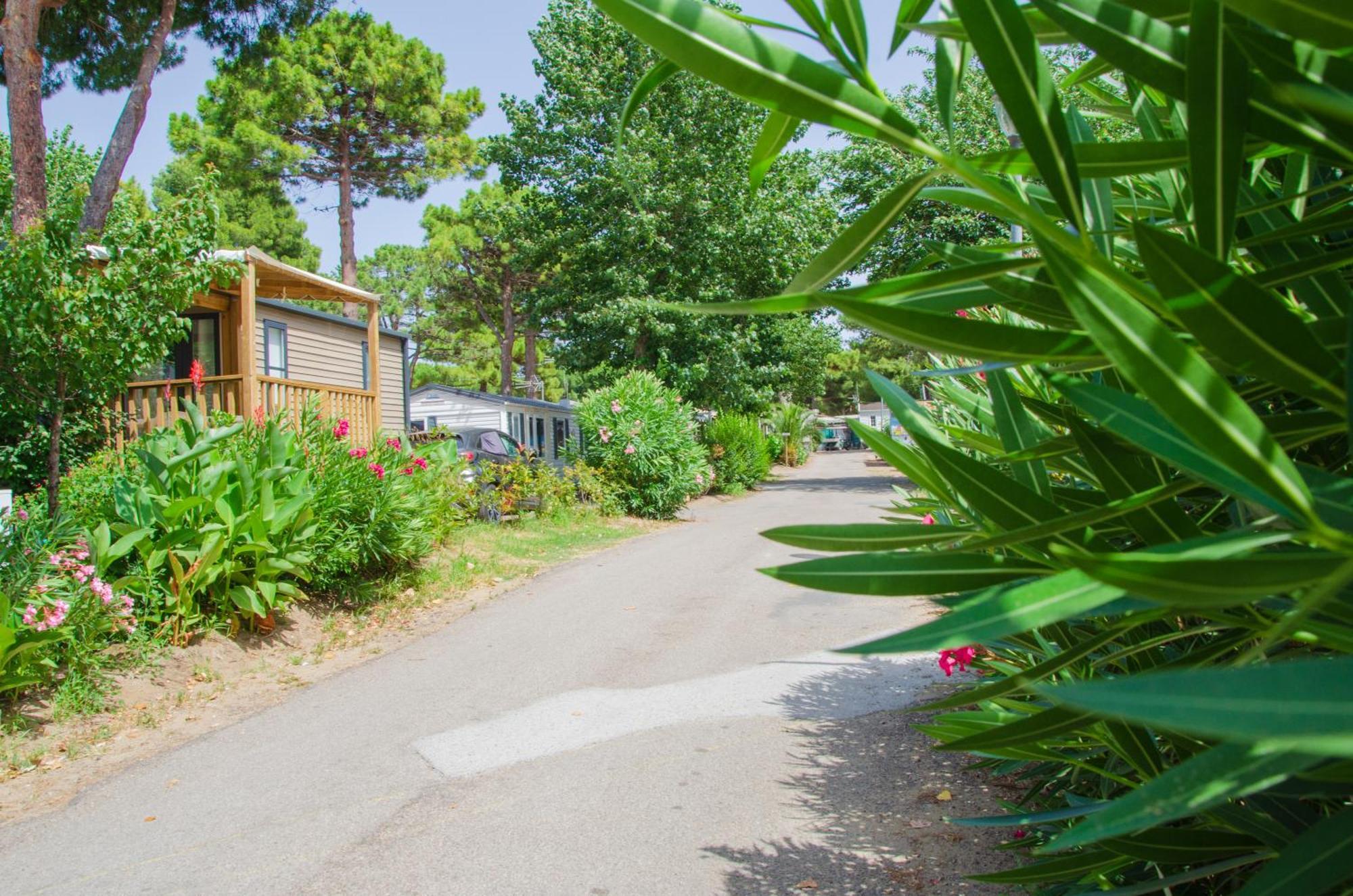 Camping Les Jardins D Agathe Le Grau-d'Agde Ngoại thất bức ảnh