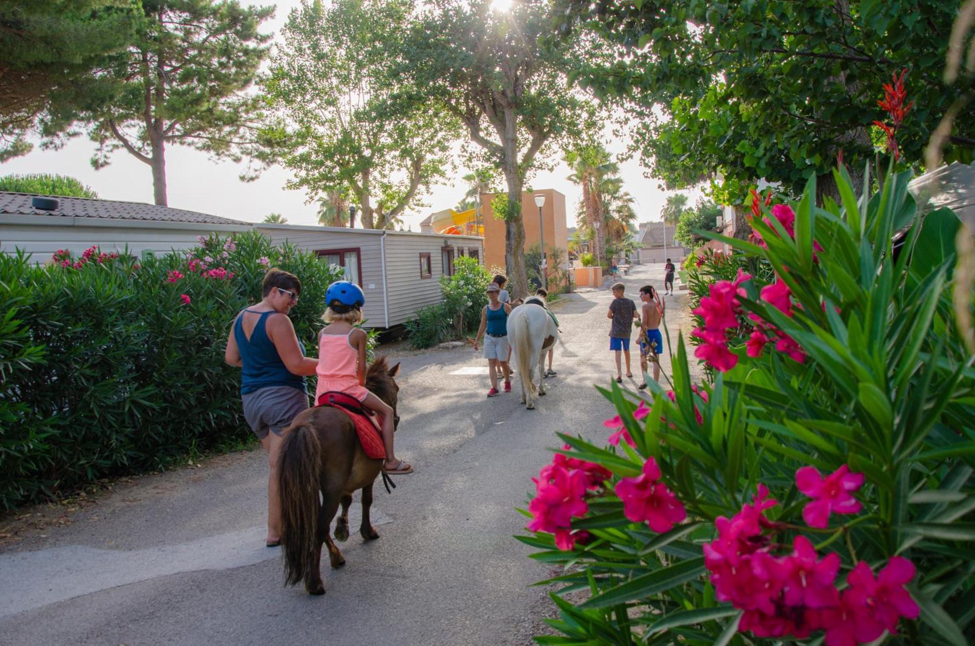 Camping Les Jardins D Agathe Le Grau-d'Agde Ngoại thất bức ảnh